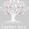 Cherry Hill Counseling Lake Zurich